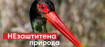 nezashtitena-ppiroda-izlozhba-na-fotografii-na-velian-jagev-za-podignuvanje-na-svesnosta-za-zhivotnata-sredina-poddrzhana-od-prokredit-bankapovekje.jpg