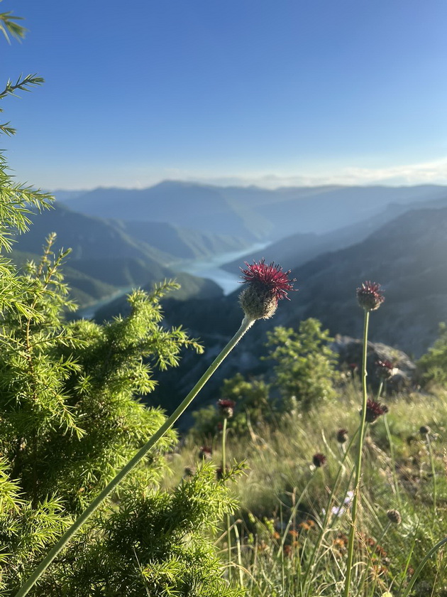 mi-odmili-kozjak-za-vikend-ama-bev-posle-rabota-preku-nedela-i-beshe-idilichno-05.jpg