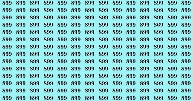 mozhete-li-za-20-sekundi-da-go-najdete-brojot-869-megju-site-899-ki-01.jpg