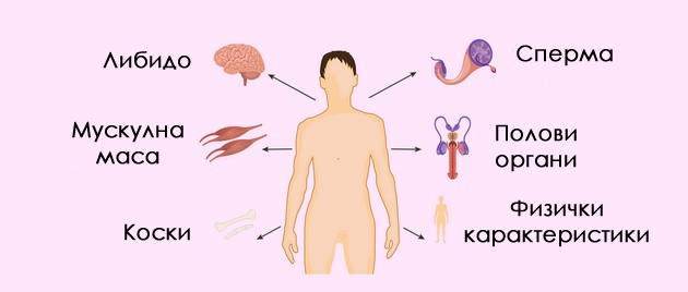 nisko-nivo-na-testosteron-koi-se-najchestite-simptomi-i-mozhe-li-da-se-sprechi-02.jpg