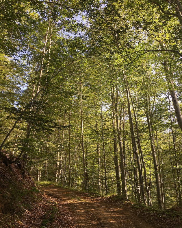 vikend-preporaka-poseta-na-planina-plackovica-i-bel-kamen-02.jpg