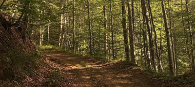 vikend-preporaka-poseta-na-planina-plackovica-i-bel-kamen-povekje.jpg