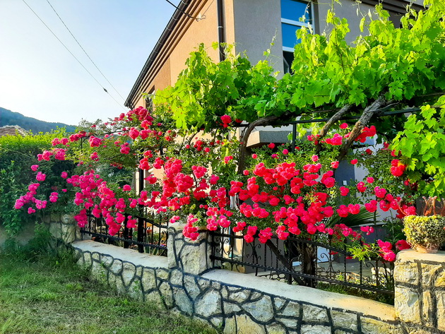 vlado-i-slagjana-od-kichevo-imaat-dvor-za-merak-dzirnete-vo-oazata-uredena-so-klupi-od-peleti-letnikovec-i-improviziran-bunar-04.jpg