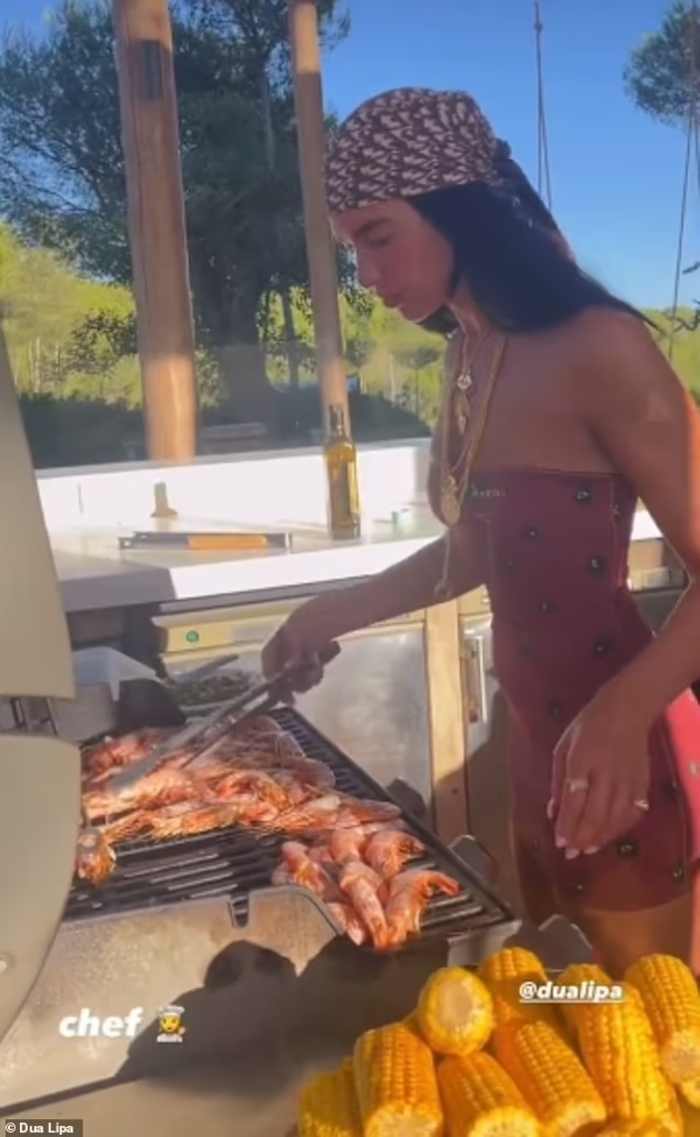 barem-da-ja-zapaleshe-skarata-dua-lipa-meta-na-potsmev-otkako-se-pofali-so-veshtinite-za-gotvenje-video-02.jpg