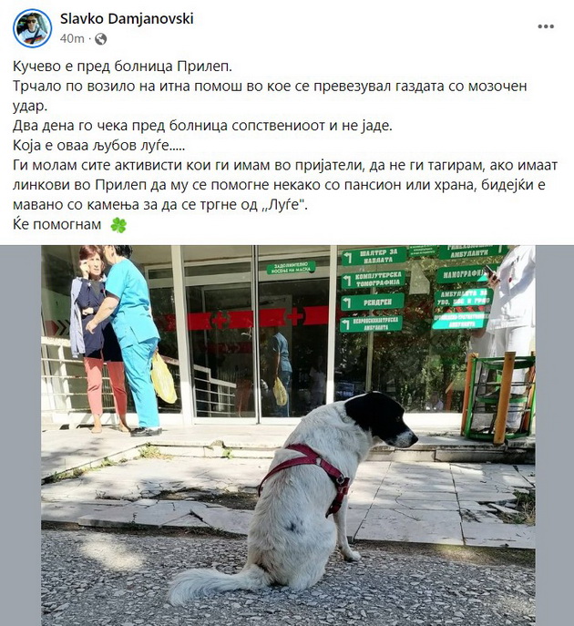 emotivna-scena-kuche-pred-bolnica-vo-prilep-vekje-dva-dena-go-cheka-gazdata-shto-dozhiveal-mozochen-udar-001.jpg