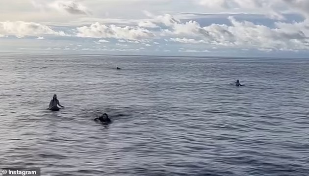 emotivno-video-surferi-od-avstralija-se-spaseni-otkako-pominale-38-chasa-srede-more-na-daski-za-surfanje-8.jpg