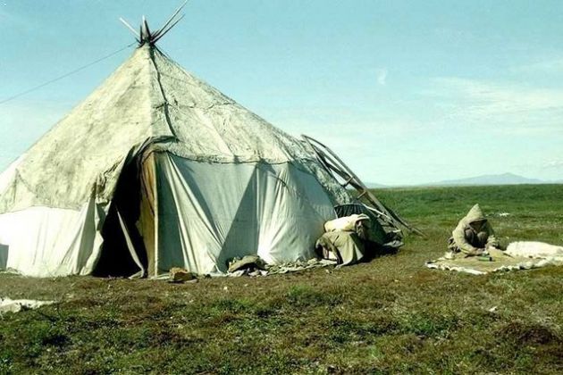 zivotot-na-cukcite-imale-zenite-si-gi-razmenuvale-so-rodninte-i-prijatelite-site-megusebno-se-razmnozuvale-08_copy.jpg