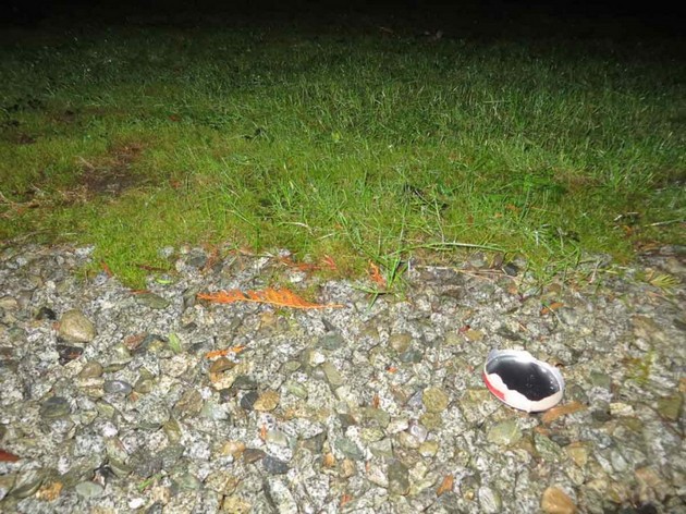 ischeznale-pa-im-gi-nashle-koskite-i-mornichavi-fotografii-na-aparatot-misterioznata-smrt-na-studentki-od-holandija-09.jpg