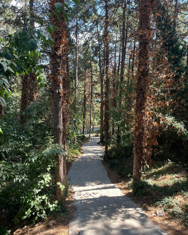 karolina-so-chashka-rakija-i-makalo-uzhiva-vo-ohrid-tri-prekrasni-dena-08.jpg