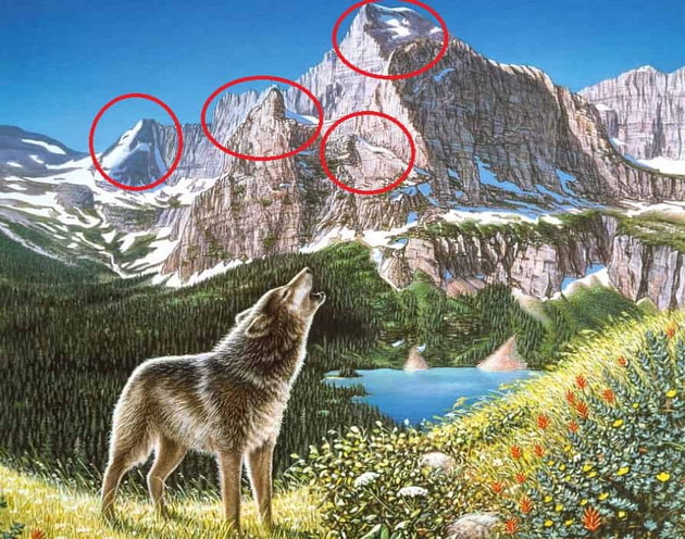 test-na-lichnosta-izbrojte-kolku-volci-ima-i-otkrijte-kolku-vi-e-silna-intuicijata-03.jpg