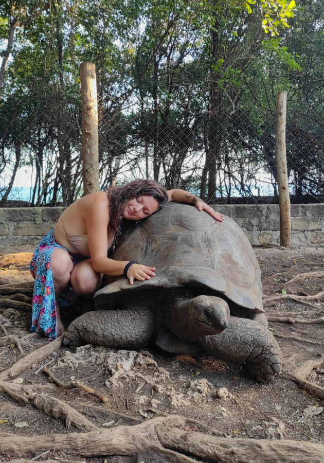 betika ledenata makedonka koga se adaptirav na 34 ke se adaptiram i na plus 34 niz cela afrika patuvav sama vidov lavici vo zivo i go posetiv najsiromasniot kvart vo kenija 1