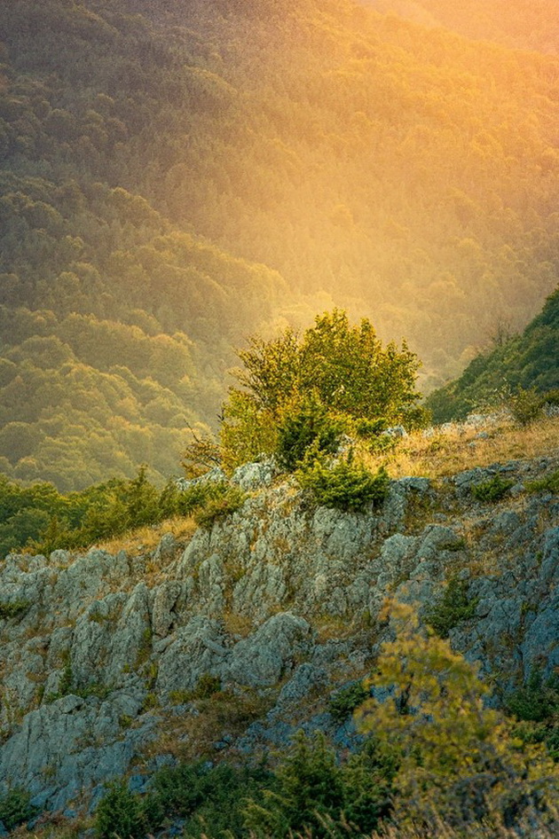 svetsko-a-nashe-nedoprenata-prirodna-na-jablanica-niz-objektivot-na-aleksandar-menkinoski-13.jpg