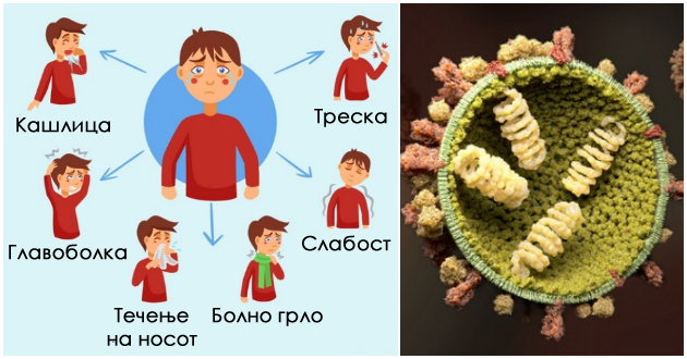 zoshto-se-javuva-sezonskiot-grip-i-kako-mozhete-da-se-zashtitite-01.jpg