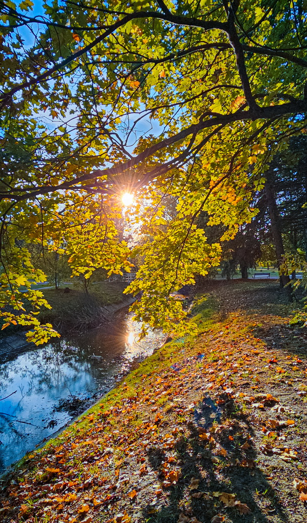 gradskiot-par-vo-skopje-e-kako-scena-od-najubavata-esenska-bajka-foto-15.jpg