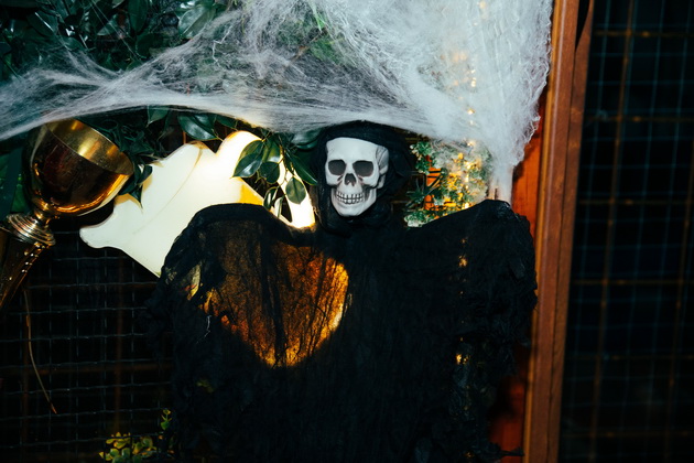lokal-vo-delchevo-e-scena-od-koshmarite-za-halloween-so-krv-po-dzidovite-pajazhina-i-kosturski-glavi-foto-12.jpg