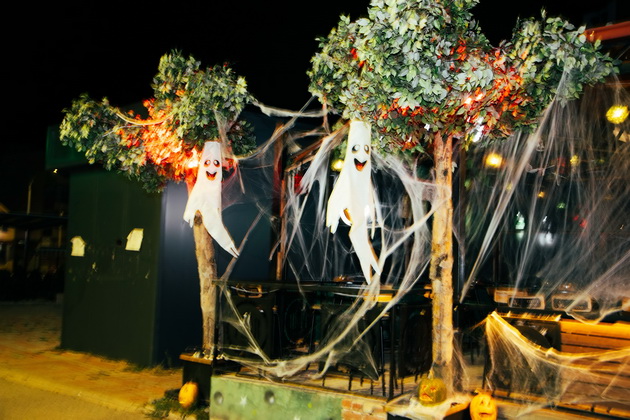 lokal-vo-delchevo-e-scena-od-koshmarite-za-halloween-so-krv-po-dzidovite-pajazhina-i-kosturski-glavi-foto-13.jpg