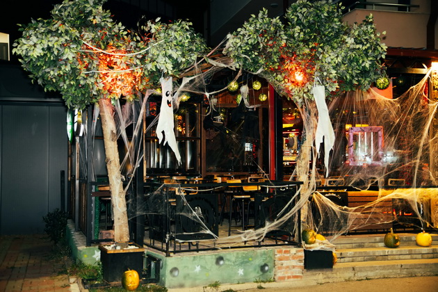 lokal-vo-delchevo-e-scena-od-koshmarite-za-halloween-so-krv-po-dzidovite-pajazhina-i-kosturski-glavi-foto-15.jpg