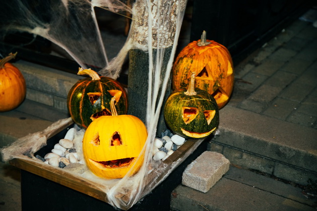 lokal-vo-delchevo-e-scena-od-koshmarite-za-halloween-so-krv-po-dzidovite-pajazhina-i-kosturski-glavi-foto-16.jpg