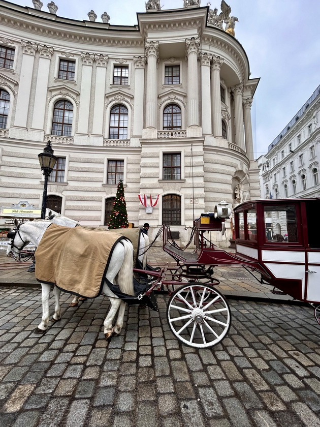 jovica-od-skopje-go-poseti-bozhikjniot-market-vo-viena-sekade-mirisa-na-greeno-vino-i-cimet-lichi-na-bajka-od-dizni-16.jpg