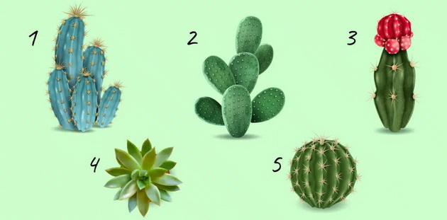 test-na-lichnosta-izberete-kaktus-i-otkrijte-na-koj-nachin-gi-kontrolirate-svoite-emocii-01_copy_copy_copy.jpg