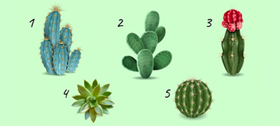 test-na-lichnosta-izberete-kaktus-i-otkrijte-na-koj-nachin-gi-kontrolirate-svoite-emocii-poveke-01_copy.jpg