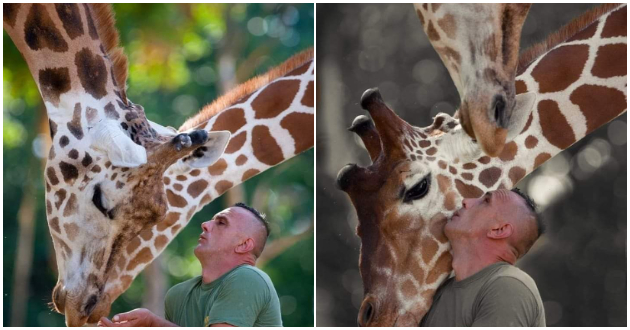 soopshtenie-od-zoo-vcherashniot-den-beshe-najtezhok-za-site-vraboteni-vo-skopje-zoo-01.jpg