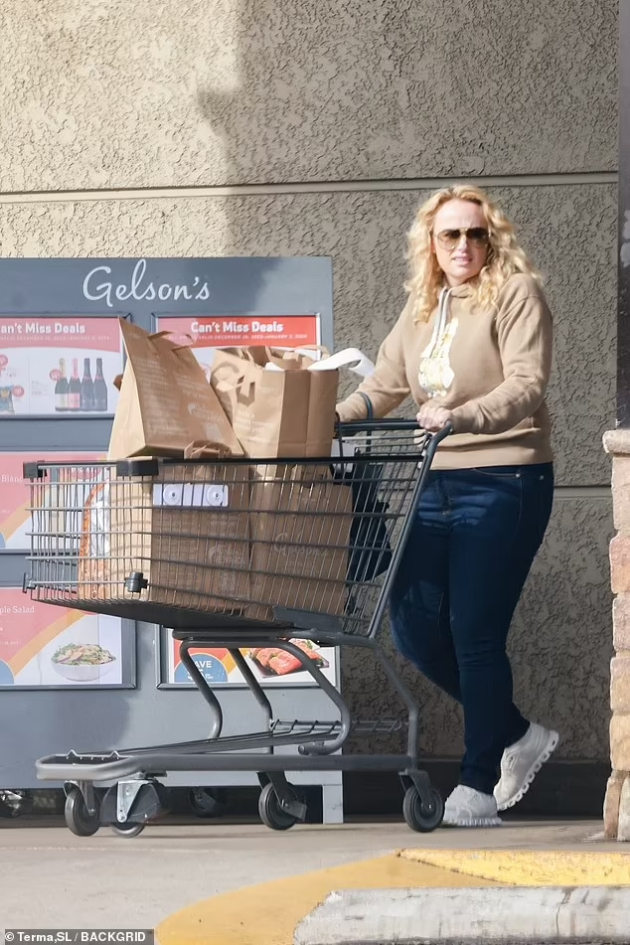 dejvid-bekam-hrani-kokoshki-pamela-anderson-so-seda-kosa-pruzha-obleka-foto-dokazi-deka-i-dzvezdite-se-obichni-lugje-07.jpg