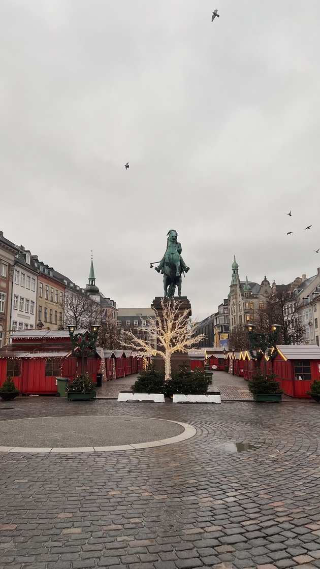 milena-od-kumanovo-za-posetata-na-kopenhagen-parkot-tivoli-e-magichen-no-skap-samo-vleznicata-chini-1-400-denari-07.jpg