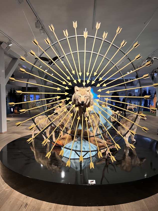 milena-od-kumanovo-za-posetata-na-kopenhagen-parkot-tivoli-e-magichen-no-skap-samo-vleznicata-chini-1-400-denari-10.jpg