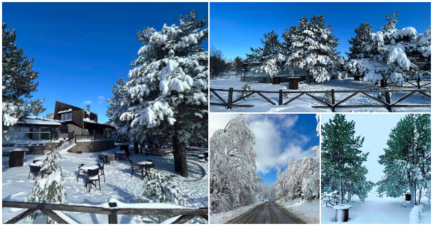 kozjak-vo-zima-volshebno-mesto-koe-potsetuva-na-snezhna-bajka-01.jpg