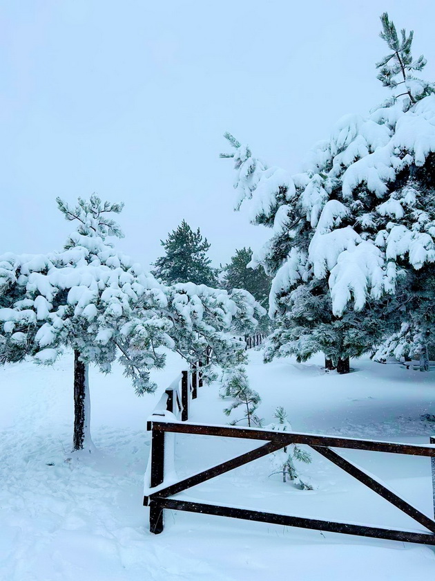 kozjak-vo-zima-volshebno-mesto-koe-potsetuva-na-snezhna-bajka-08.jpg