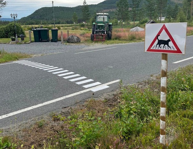 zabavni-i-neobichni-raboti-shto-mozhete-da-gi-vidite-samo-vo-stranstvo-foto-05.jpg