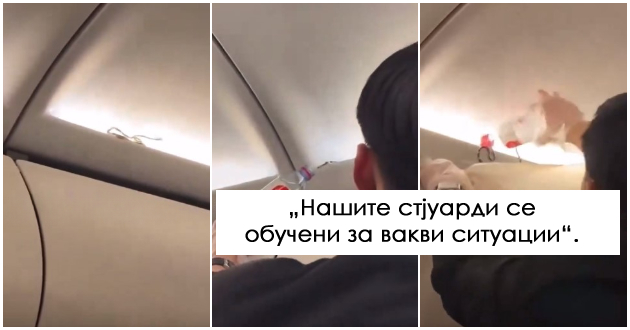 viralno-video-zmija-gi-isplashi-patnicite-vo-avion-vo-tajland-stjuard-edvaj-uspea-da-ja-fati-01.jpg