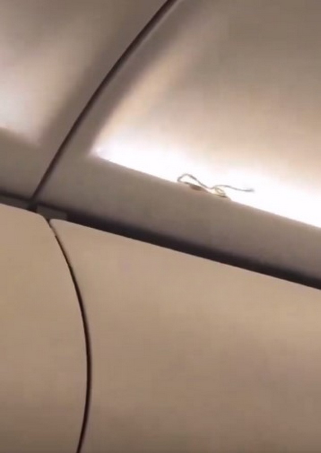 viralno-video-zmija-gi-isplashi-patnicite-vo-avion-vo-tajland-stjuard-edvaj-uspea-da-ja-fati-02.jpg