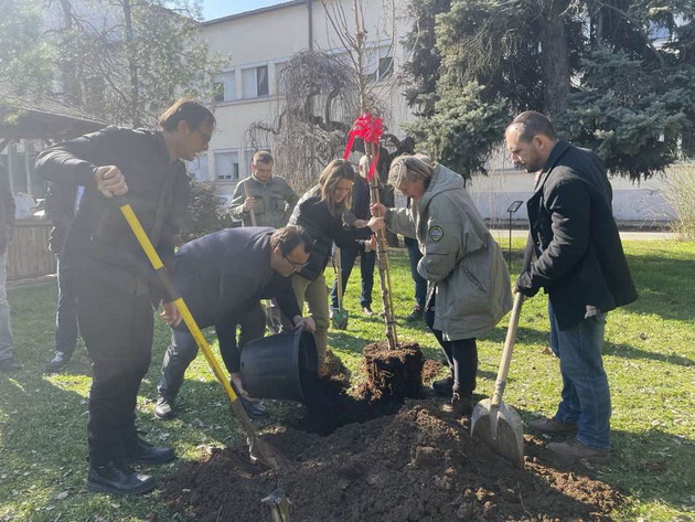 profesorite-sadat-zbogatuvanje-na-dendroparkot-na-fakultetot-za-shumarski-nauki-pejzazhna-arhitektura-i-ekoinzhenering-hans-em-vo-skopje-so-novi-vidovi-drvja-i-grmushki-03.jpg