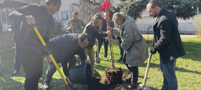 profesorite-sadat-zbogatuvanje-na-dendroparkot-na-fakultetot-za-shumarski-nauki-pejzazhna-arhitektura-i-ekoinzhenering-hans-em-vo-skopje-so-novi-vidovi-drvja-i-grmushki-povekje-01.jpg