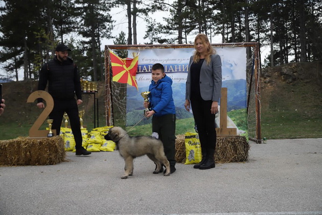 marija-od-radovish-10-godini-e-vo-kolichka-ne-dozvoluvam-toa-da-me-sprechuva-vozam-atv-kje-magistriram-imam-uspeshni-biznisi-07.jpg