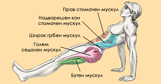 obraten-plank-vezhba-koja-go-zategnuva-teloto-i-troshi-kalorii-02.jpg