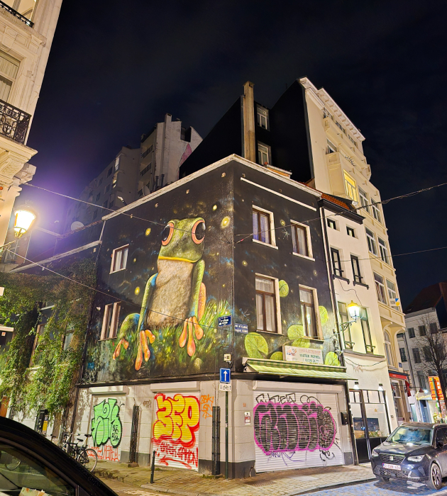 ulicnata umetnost i sharmantnite murali niz ulicite na brisel 4