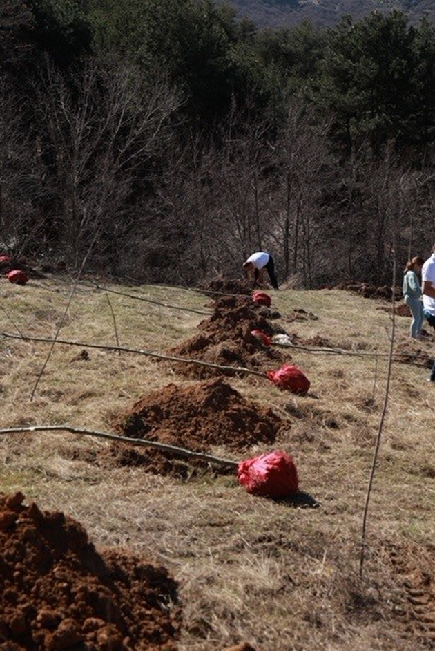 100-zasadeni-drvja-po-povod-100-godishninata-od-prilepska-pivarnica-07.jpg