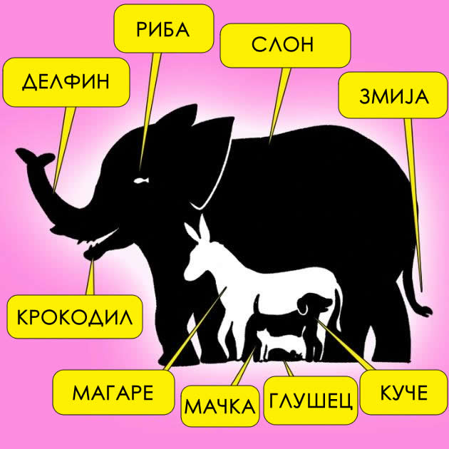 trik-prashanje-shto-kje-ve-natera-da-ostavite-se-i-da-broite-kolku-zhivotni-gledate-03.jpg