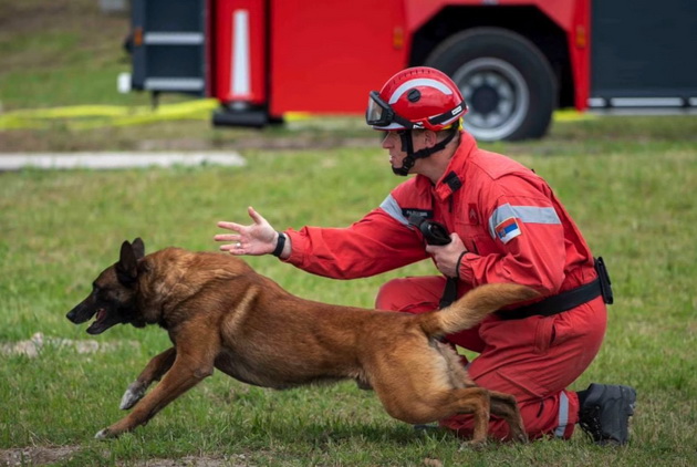 kucheto-heroj-shto-barashe-prezhiveani-po-zemjotresot-vo-turcija-se-vkluchi-vo-potragata-po-danka-ilikj-2-kako-zigi-gi-bara-lugjeto-02.jpg