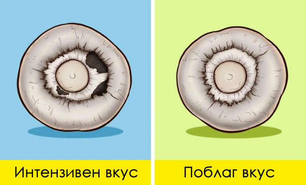 kako-da-gi-izberete-najvkusnite-proizvodi-vo-market-04.jpg