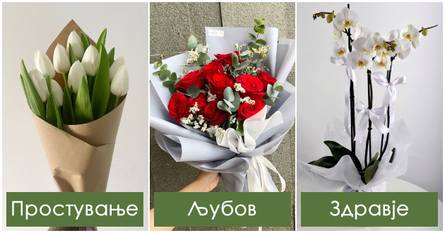 cvekinja-koi-sekogas-gi-podaruvame-no-ne-go-znaeme-nivnoto-znacenje-01.jpg