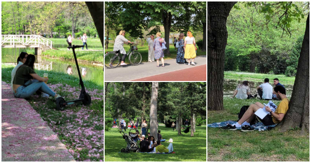 proletna-idila-vo-gradski-park-piknik-na-treva-proshetka-so-milenicite-foto-01.jpg