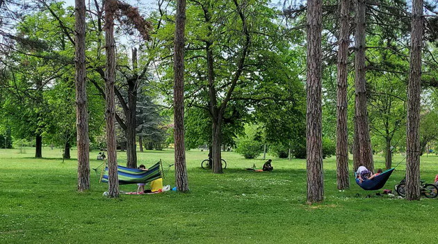 proletna-idila-vo-gradski-park-piknik-na-treva-proshetka-so-milenicite-foto-11.jpg