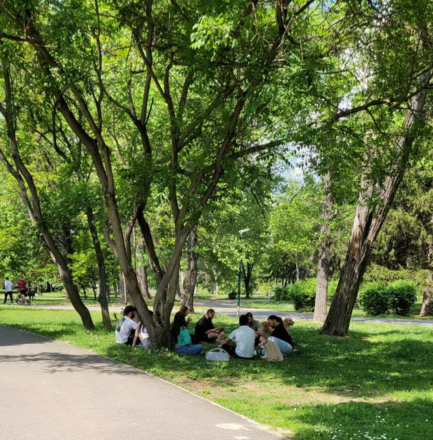 proletna-idila-vo-gradski-park-piknik-na-treva-proshetka-so-milenicite-foto-19.jpg
