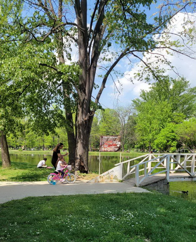 proletna-idila-vo-gradski-park-piknik-na-treva-proshetka-so-milenicite-foto-20.jpg