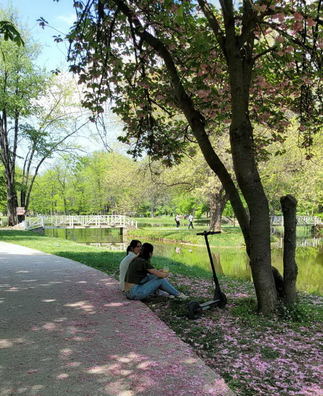 proletna-idila-vo-gradski-park-piknik-na-treva-proshetka-so-milenicite-foto-22.jpg