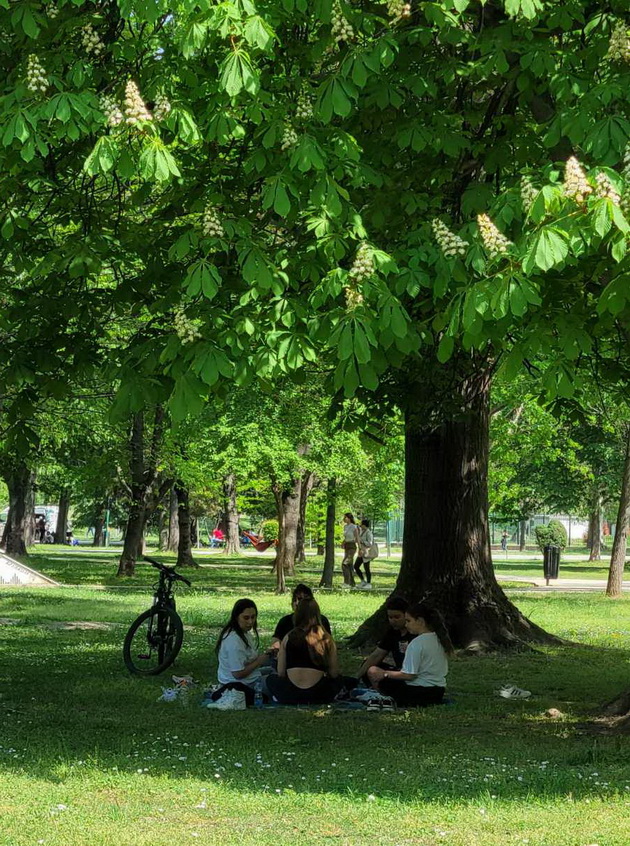 proletna-idila-vo-gradski-park-piknik-na-treva-proshetka-so-milenicite-foto-24.jpg